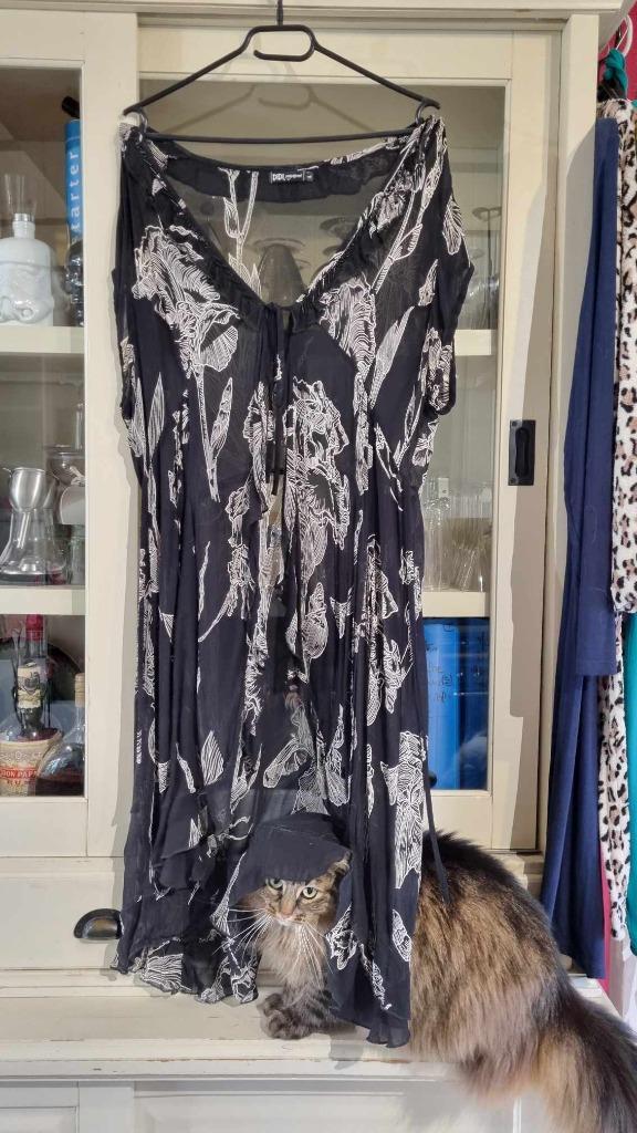 De) Chique, transparante tuniek of jurk van Didi, Kleding | Dames, Blouses en Tunieken, Nieuw, Maat 38/40 (M), Wit, Verzenden