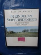 IN EINDELOZE VERSCHEIDENHEID (historisch fresco Vlaanderen), Boeken, Ophalen of Verzenden, Zo goed als nieuw