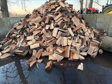 Droog brandhout eik&beuk beschikbaar voor biedingen
