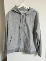 H&M : grijs hoodie sweatshirt vest kap ritssluiting, mt M, Vêtements | Hommes, Pulls & Vestes, Gris, Enlèvement ou Envoi, Comme neuf