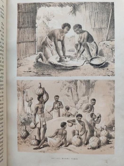 The Life and Explorations of David Livingstone ~ 1878, Antiek en Kunst, Antiek | Boeken en Manuscripten, Ophalen of Verzenden