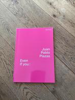 Juan Pablo Plazas kunstboek, Boeken, Kunst en Cultuur | Beeldend, Ophalen of Verzenden, Zo goed als nieuw