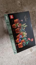 Lego tiny plants.
The Botanical Collection (10329), Enlèvement, Lego