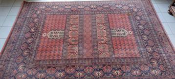 2 prachtige zuivere scheerwol tapijten van zeer goede kwalit