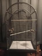 Mooi groot vogelkooi, Enlèvement, Cage à oiseaux