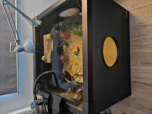 Binnenbuitenvijver hozelock 500 lt, Dieren en Toebehoren, Vissen | Aquaria en Toebehoren, Zo goed als nieuw, Ophalen