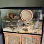 Plateauloos Hamster Terrarium met Bodem-tot-Deksel Schuifrui, Dieren en Toebehoren, Knaagdieren en Konijnen | Hokken en Kooien