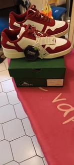 POUR CAUSE DÉCÈS,  A VENDRE VÉRITABLE BASKETS LACOSTE HOMME, Enlèvement