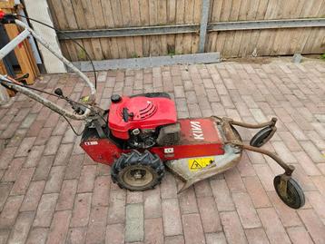 hooggrasmaaier of klepenmaaier beschikbaar voor biedingen