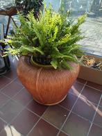 Bamboo plantenpot., Jardin & Terrasse, Bacs à fleurs & Jardinières, Enlèvement