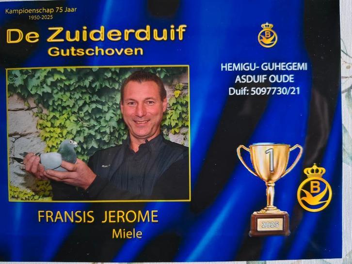 1e ronde jonge duiven, Dieren en Toebehoren, Vogels | Duiven, Postduif, Meerdere dieren