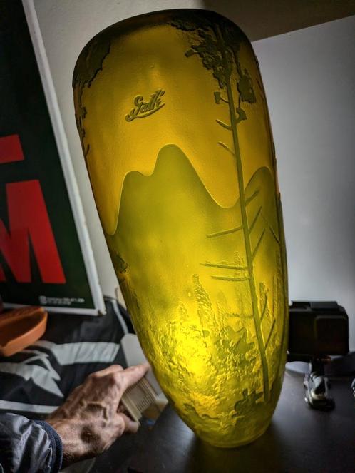 Grote vaas van het type Gallé, Antiek en Kunst, Kunst | Designobjecten, Ophalen