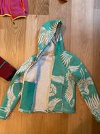 Polaire Brunotti taille 152, Enlèvement, Comme neuf