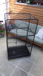 Kooi voor cavia’s, Dieren en Toebehoren, Ophalen of Verzenden, Gebruikt