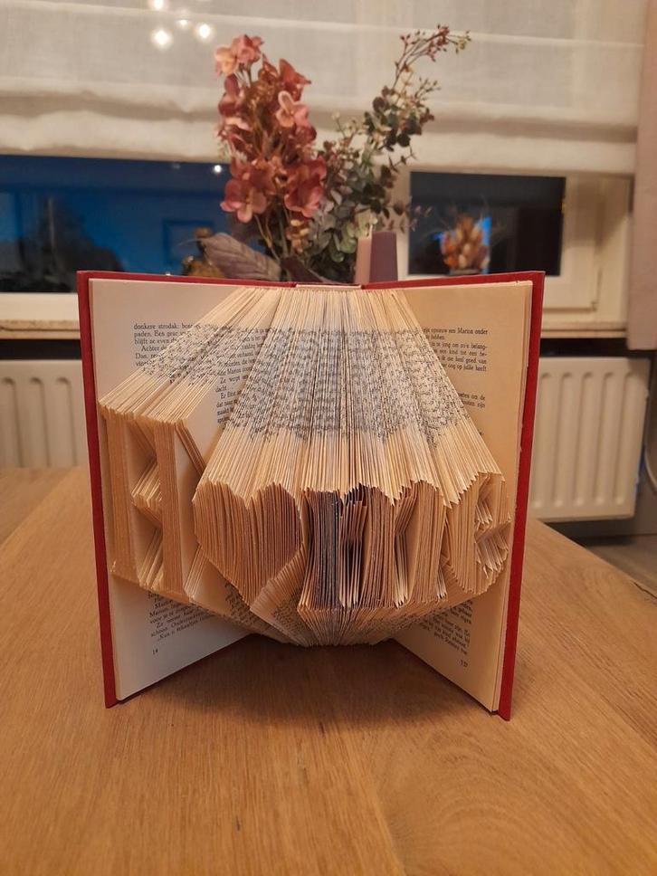 Warmste Week, boekvouwkunst, Diversen, Overige Diversen, Ophalen of Verzenden