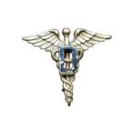 WWII US Collar Pin Dental Medic 2, Ophalen of Verzenden, Landmacht, Embleem of Badge