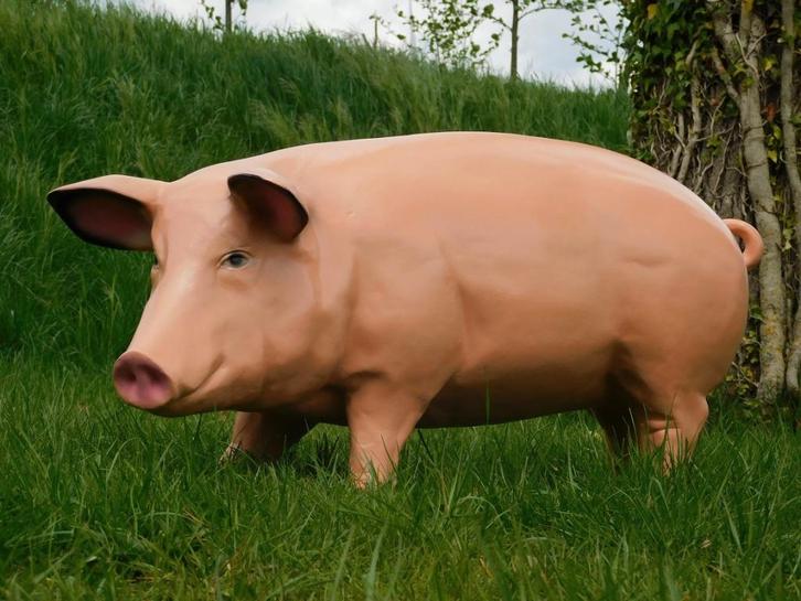 Beeld Varken XL - 97 cm - Polystone, Tuin en Terras, Tuinbeelden, Dierenbeeld, Kunststof, Ophalen of Verzenden