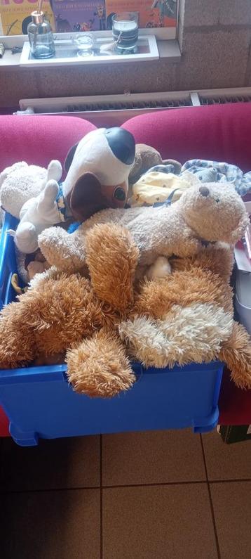 A donner lot de peluche, Enlèvement