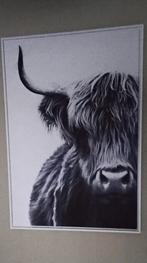 Schotse hooglander kader 75x100cm, zwart, rookvrije omgeving, Enlèvement