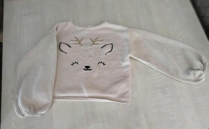 korte trui / pull dierenprint h & m maat 122 - 128, Kinderen en Baby's, Kinderkleding | Maat 122, Gebruikt, Meisje, Trui of Vest