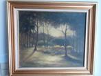 TONY FITELLAER Schilderij "bos-zicht" Prijs: € 50, Gebruikt, Ophalen of Verzenden, Schilderij, 75 tot 100 cm