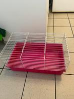 kooi voor cavia, konijn, Dieren en Toebehoren, Knaagdieren en Konijnen | Hokken en Kooien, Ophalen of Verzenden, Zo goed als nieuw