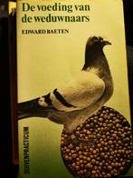 De voeding van de weduwnaars, Edward Baeten, Animaux & Accessoires, Oiseaux | Pigeons, Pigeon voyageur