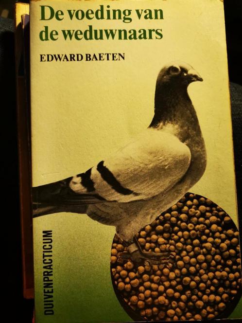 De voeding van de weduwnaars, Edward Baeten, Dieren en Toebehoren, Vogels | Duiven, Postduif