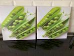 2 canvasprinten, Ophalen, Gebruikt