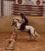 Ruiter gezocht voor deze schattige pony, Dieren en Toebehoren, Ophalen, Zo goed als nieuw