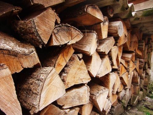 Hout direct stookbaar, Tuin en Terras, Brandhout, Blokken, Eikenhout, Minder dan 3 m³, Ophalen of Verzenden
