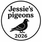 Jeunes pigeons de très longue distance 2026, Plusieurs animaux, Pigeon voyageur