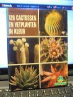 126 cactussen en vetplanten in kleur, Huis en Inrichting, Kamerplanten, Cactus, Ophalen of Verzenden