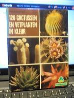 126 cactussen en vetplanten in kleur, Enlèvement ou Envoi, Cactus