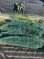 Omheining kunstgras, Tuin en Terras, Ophalen, Gebruikt