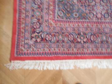 TAPIJT HANDGEKNOOPT 167.200 KNOPEN    2.49 X 3.49 beschikbaar voor biedingen