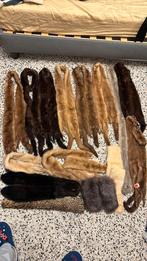 Écharpes en vison, Enlèvement