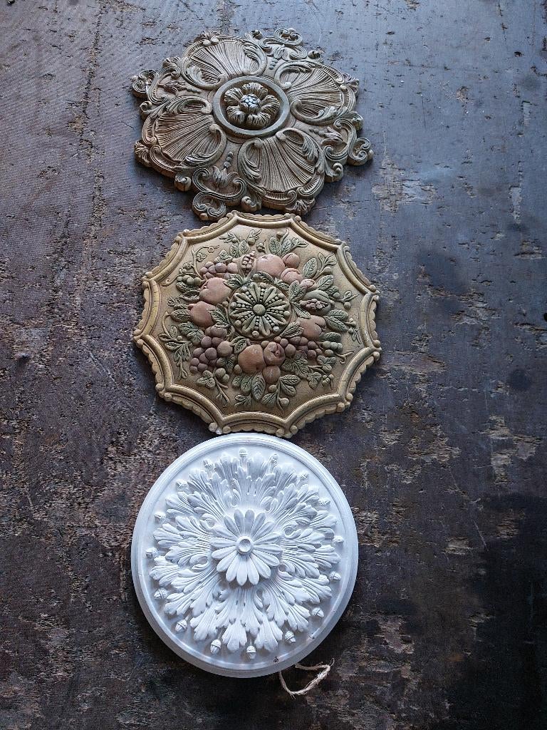 Roses pour le plafond, Enlèvement