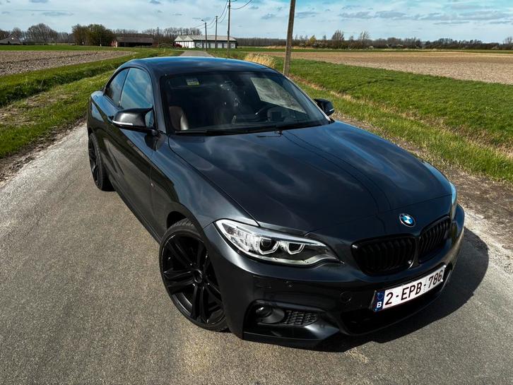 Bmw 228i  bjr 2015, Autos, BMW, Particulier, Série 2, ABS, Phares directionnels, Airbags, Air conditionné, Alarme, Bluetooth, Feux de virage