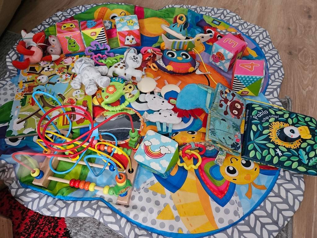 Gros lot de jouets, Kinderen en Baby's, Speelgoed | Speelkleden, Ophalen of Verzenden