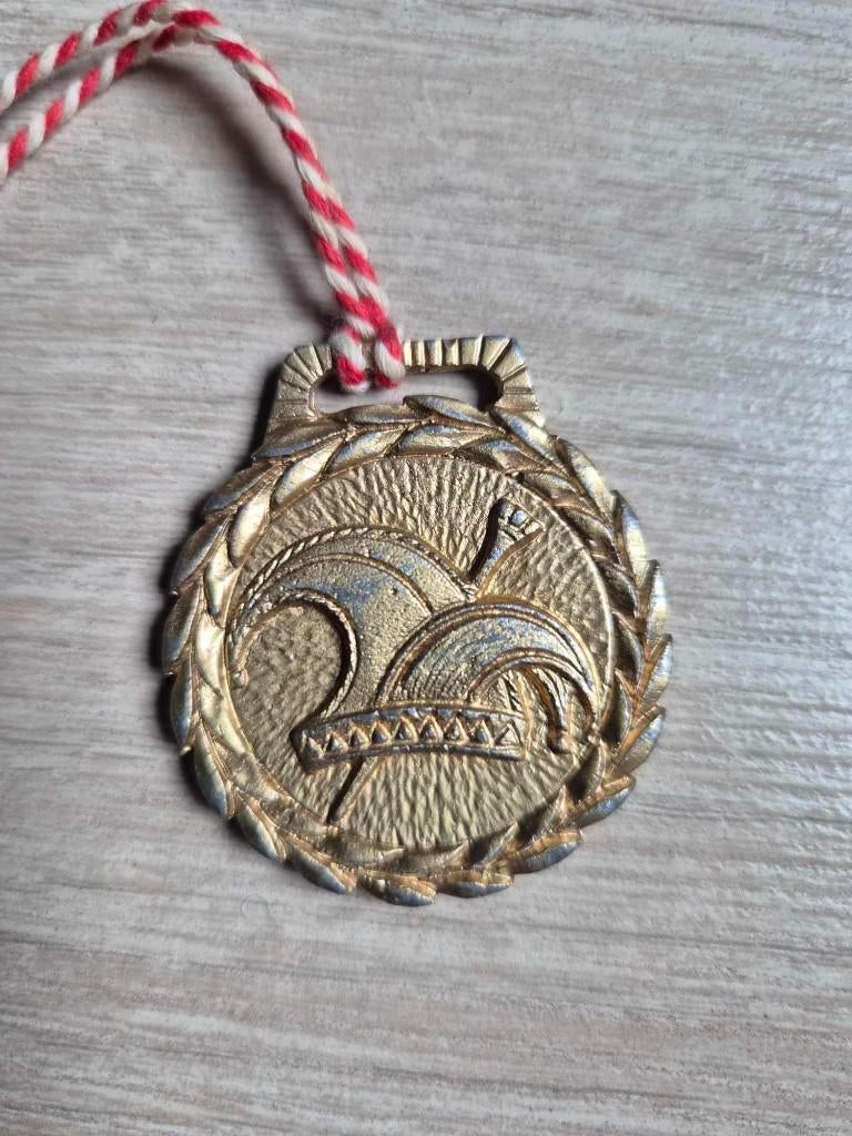 Carnaval medaille Mariakerke Orde van de sombreros, Enlèvement ou Envoi