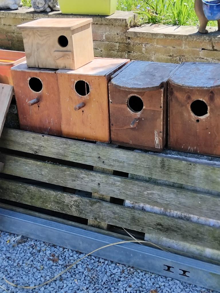 Lot de nids a vendre, Animaux & Accessoires, Enlèvement, Utilisé, Autres types