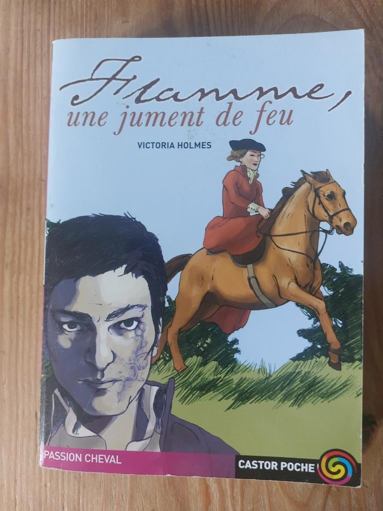 Flamme, une jument de feu de Holmes, Livres, Enlèvement, Utilisé