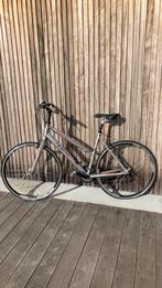 Elrgante dames fiets, light ride concept, Autres marques, Vitesses, Enlèvement, Utilisé