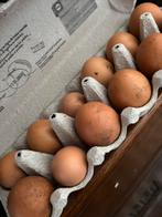 Verse kippen eieren, Ophalen