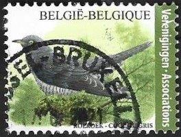 1 Postzegel Koekoek België 2021 Vogels., Frankeerzegel, Ophalen of Verzenden, Gestempeld, Gestempeld