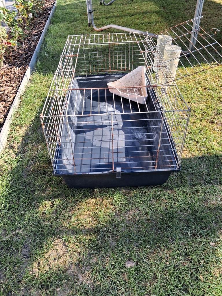 Cage, Animaux & Accessoires, Rongeurs & Lapins | Cages & Clapiers, Enlèvement, Cage