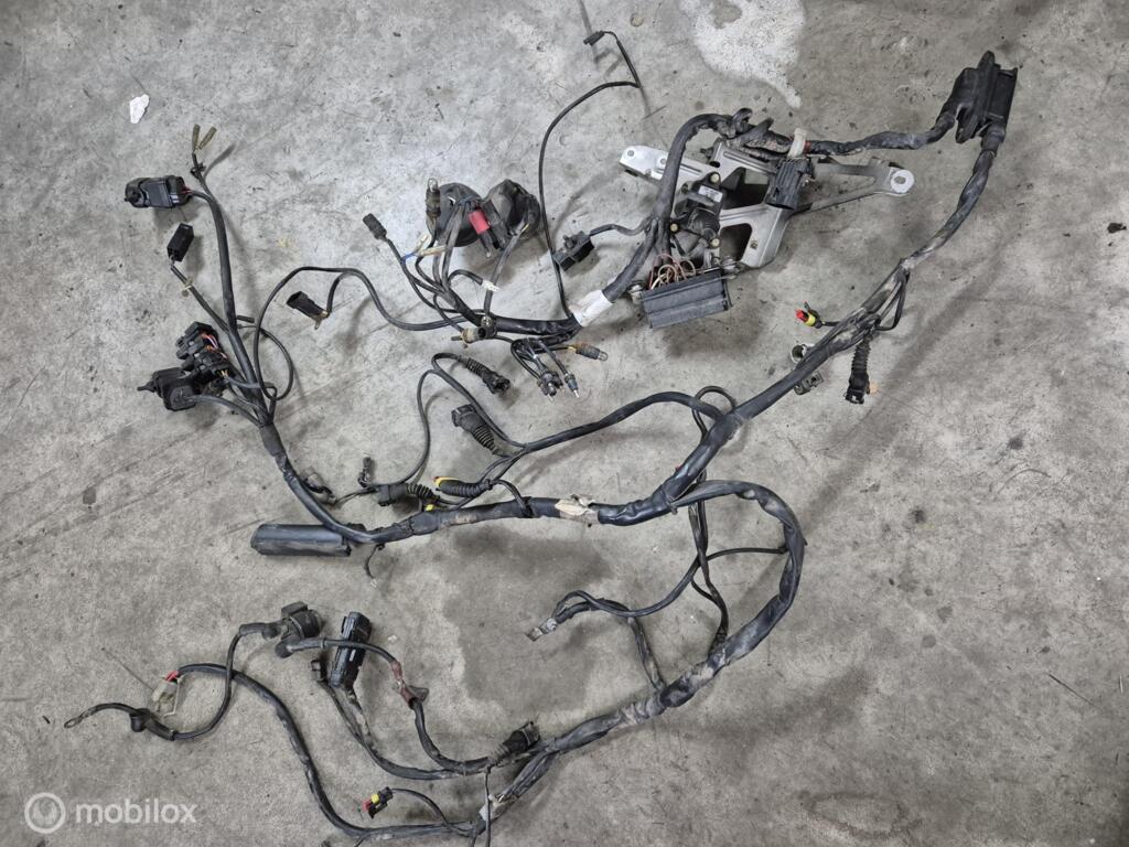 Kabelboom draadboom ST2 ST 2, Motos, Pièces | Ducati, Enlèvement ou Envoi, Factorystore.service@ducati.com, Via Antonio Cavalieri Ducati, 74/5, 74/6, 40132 Bologna BO