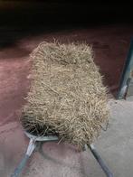 Oud hooi, Dieren en Toebehoren, Ophalen