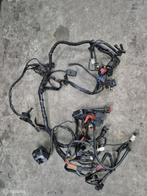 Kabelboom draadboom Hypermotard 1100, Enlèvement ou Envoi, Factorystore.service@ducati.com, Via Antonio Cavalieri Ducati, 74/5, 74/6, 40132 Bologna BO